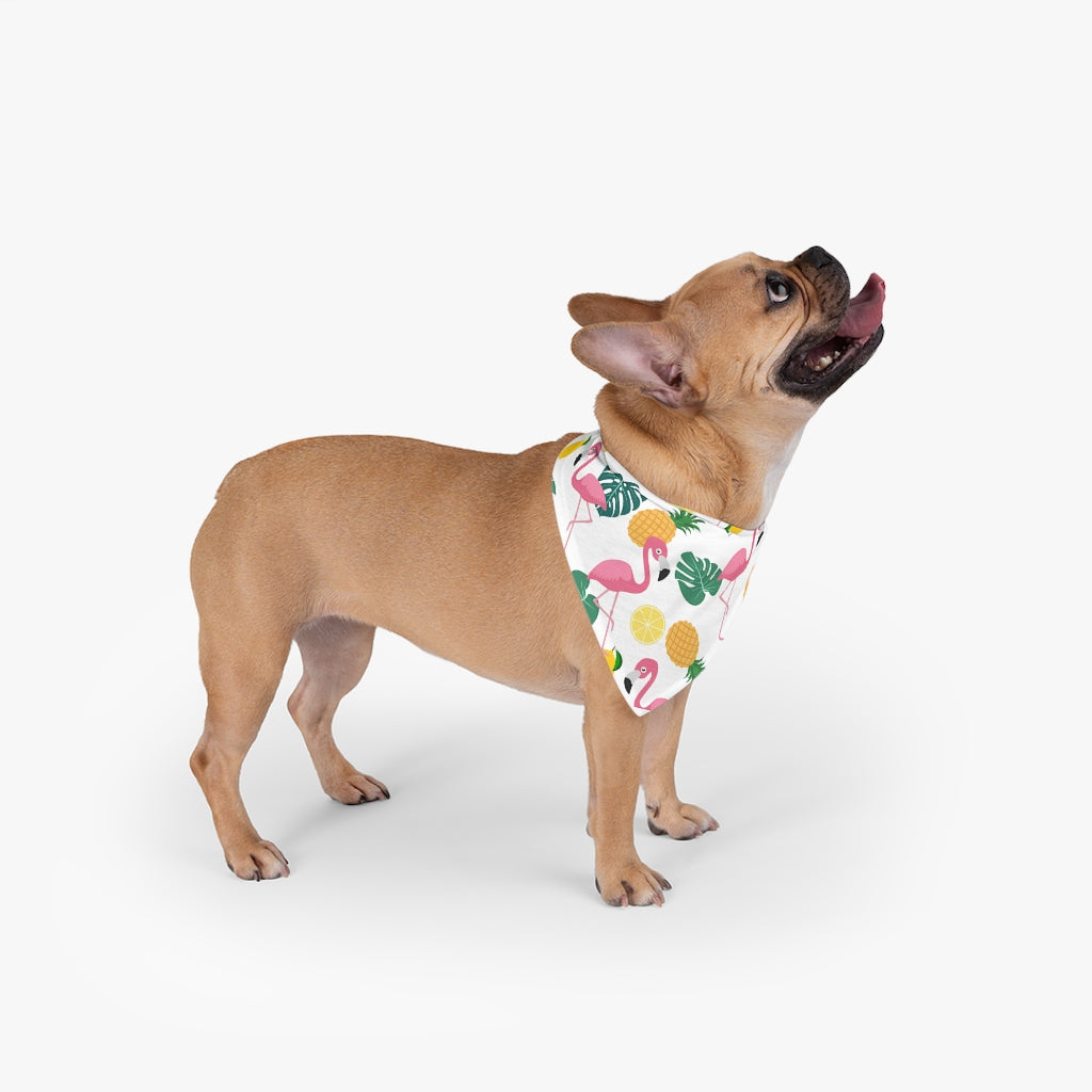 #JUICYFLAMINGO Pet Bandana